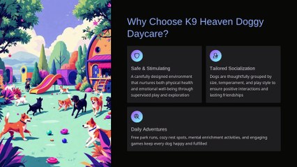 West Auckland Doggy Daycare | Safe, Fun & Caring Environment