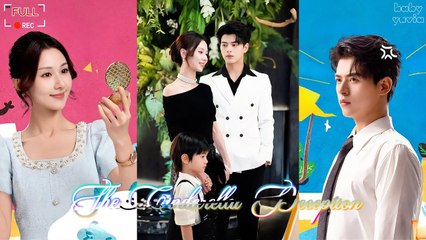 THE CINDERELLA DECEPTION