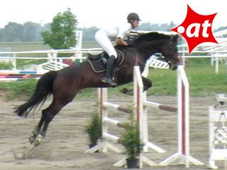 Paul Freudenschuss, Springreiten, Kottingbrunn (2008-014)