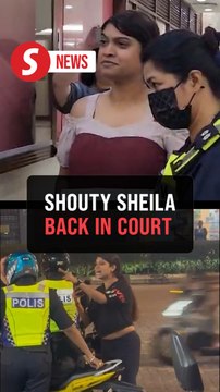 'Inspector Sheila' charged with obstructing police from discharging duty