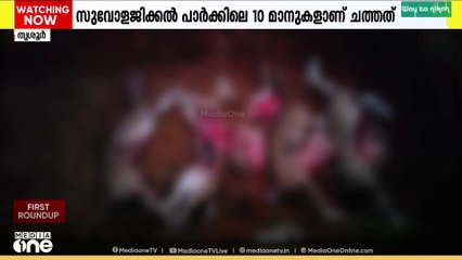 പുത്തൂര്‍ സുവോളജിക്കല്‍ പാര്‍ക്കില്‍ മാനുകള്‍ കൂട്ടത്തോടെ ചത്തത് തെരുവുനായ ആക്രമണത്തിൽ; സ്ഥിരീകരണം