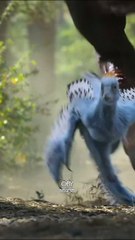 Bir dinozor için küçük bir adım ama dünyadaki yaşam için dev bir sıçrayış. Bu ilk süzülenlere yani bir hanedan doğdu.