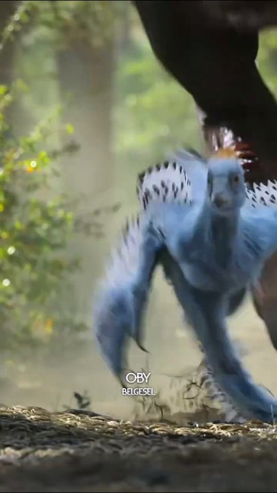 Bir dinozor için küçük bir adım ama dünyadaki yaşam için dev bir sıçrayış. Bu ilk süzülenlere yani bir hanedan doğdu.