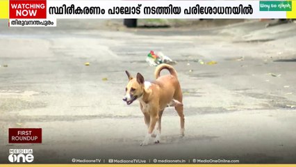 തിരുവനന്തപുരം മ്യൂസിയത്തിൽ അഞ്ച് പേരെ കടിച്ച നായക്ക് പേവിഷബാധ സ്ഥിരീകരിച്ചു