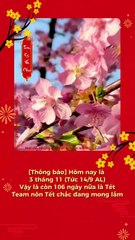 Chill đón Tết - Một góc ký ức mùa xuân - Tiệm Ký Ức Chill