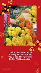 Chill đón Tết - Đếm ngược Tết nguyên đán - Tiệm Ký Ức Chill | @tiemkyucchill