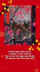 Chill đón Tết - Đếm ngược Tết nguyên đán - Tiệm Ký Ức Chill | @tiemkyucchill