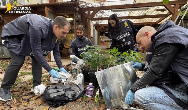 Città di Castello (PG) - Serra di marijuana nel cuore del centro: due arresti della Finanza (12.11.25)