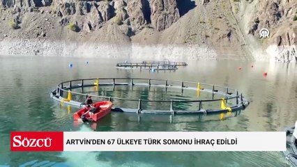 Artvin'den 67 ülkeye Türk somonu ihraç edildi