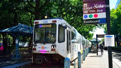 Banfield The Max Type 1 Train Coming Soon.