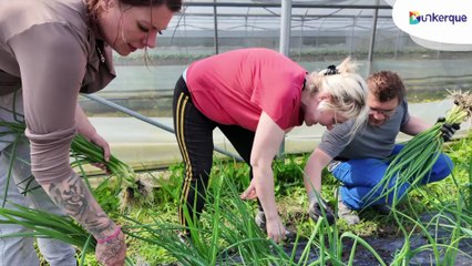 Pacte dunkerquois des solidarites - Jardin de cocagne habillé
