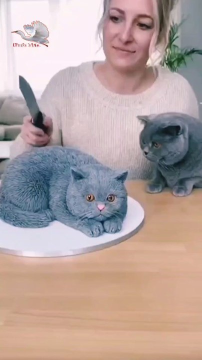 immediately angry