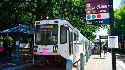 Banfield The Max Type 1 Train Coming soon