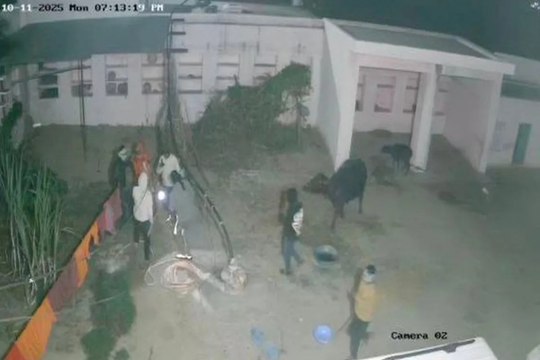 Rajasthan Crime: राजस्थान में महिलाओं पर टूटा नाकाबपोशों का कहर, लूट की वारदात सीसीटीवी में कैद, VIDEO वायरल