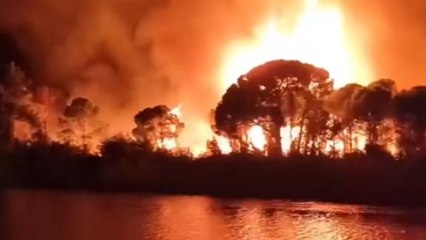Turkey: Distressing video shows raging forest fire wreaking havoc between Belek and Kumköy