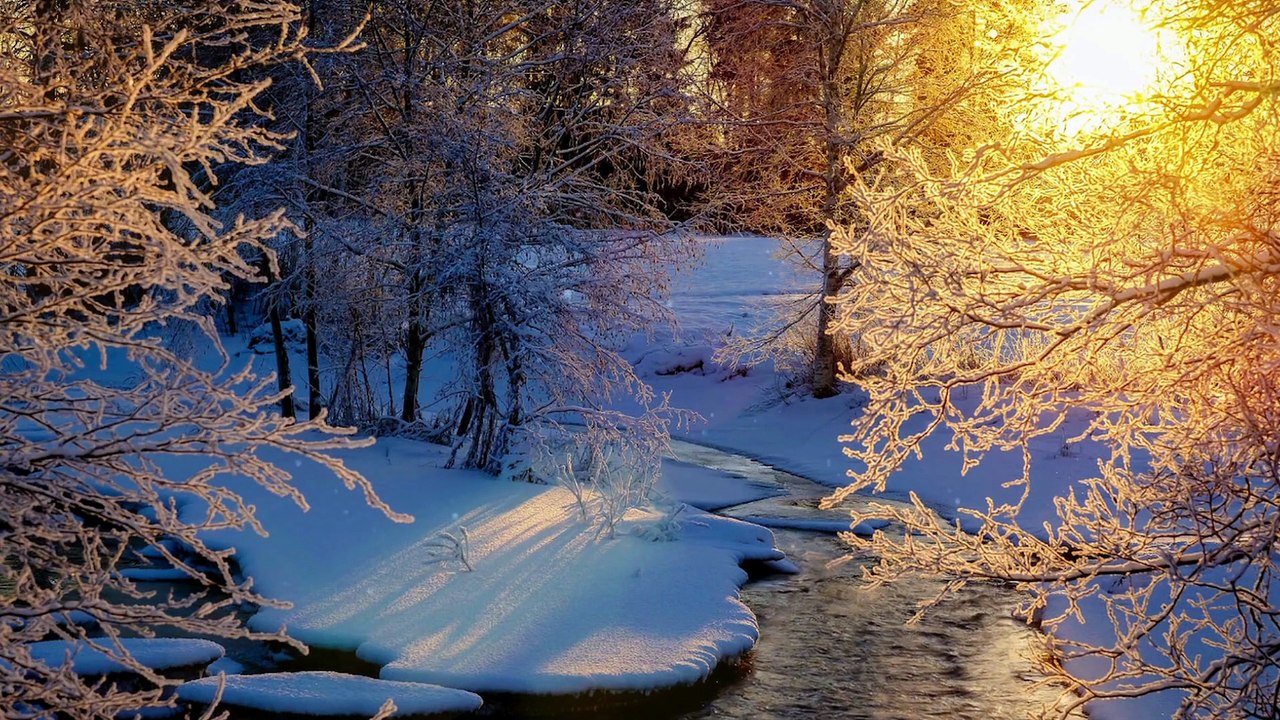 Snow│Snowboarding│Winter│Winterfashion│Winterbreak│Winterevening│Wintermorning│Winterwonderland│Wintertime│Winterland│Winterlove│Winterpic│Wintervibes│ XmasNature │naturelovers│Photography│    Soothing Wind Breeze│Falling Snow│Forest│Mountains