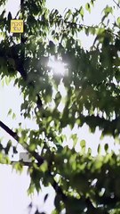 Lose Me, Lose Everything Full Movie