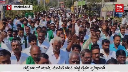 ಕಬ್ಬಿಗೆ ಬೆಲೆ ನಿಗದಿ ವಿಚಾರ: ಮುಧೋಳ, ಜಮಖಂಡಿ ರಸ್ತೆ ಬಂದ್ ಮಾಡಿ ರೈತರಿಂದ ಪ್ರತಿಭಟನೆ
