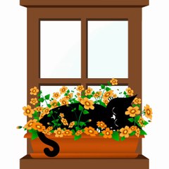 SERDAR ŞİMŞEK MÜZİKLİ KOMİK KARAKEDİ KARİKATÜRLERİ