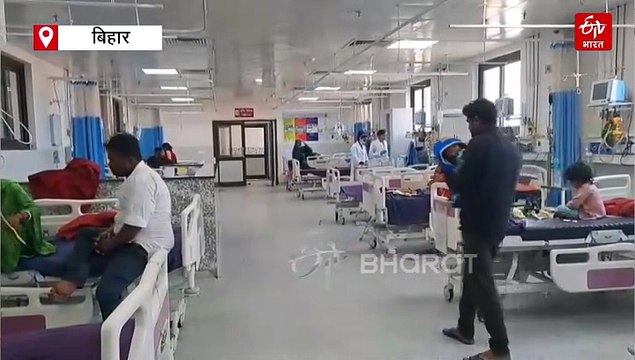 बिहार में पांव पसार रहा डेंगू और चिकनगुनिया, मुजफ्फरपुर में 74 मरीज अस्पताल में भर्ती