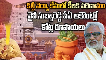 YV Subba Reddy మెడకు బిగుస్తున్న కల్తీ నెయ్యి ఉచ్చు, కోట్ల రూపాయలు చేతులు మారింది అక్కడే | Onindia