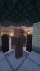 Un KIKOO transforme un golem de fer en golem de Noël sur Minecraft ! 😎
