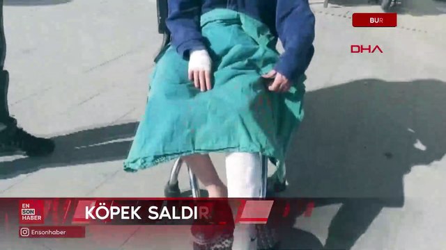 Burdur'da sokak köpeklerinin saldırısına uğrayan ortaokul öğrencisi yaralandı