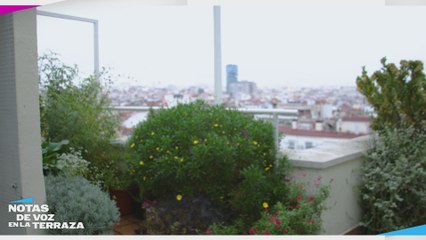 El body shaming o cómo acabar con una carrera