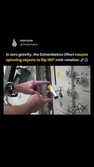 The Dzhanibekov Effect Explained 🤯 _ The Mind-Bending Flip of Physics in Zero Gravity 🚀