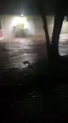 Inundaciones en la zona norte, Atlántica y del Caribe de Honduras