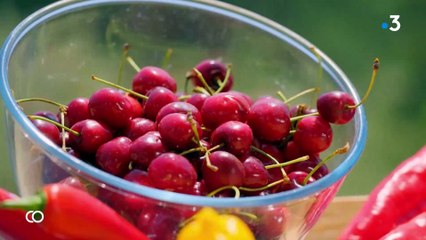 Début de l’émission de France 3 « Cuisine ouverte » du samedi 8 novembre