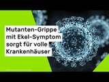 Mutanten-Grippe mit Ekel-Symptom sorgt für volle Krankenhäuser