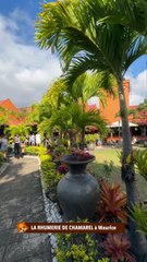 LA SUBLIME RHUMERIE DE CHAMAREL à Maurice