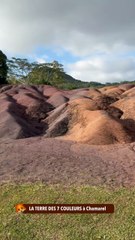 LA TERRE DES 7 COULEURS à Chamarel