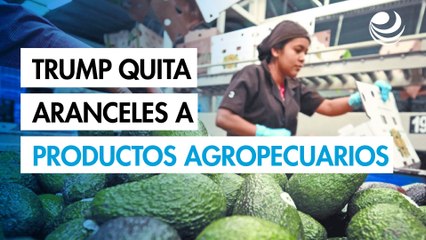 Trump quita aranceles al aguacate y otros productos agropecuarios
