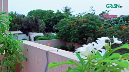 Visaal E Ishq Ep 28 (Sub) 14th Nov 2025   Fahad Sheikh - Hiba Aziz - Haroon Shahid - Naureen Gulwani