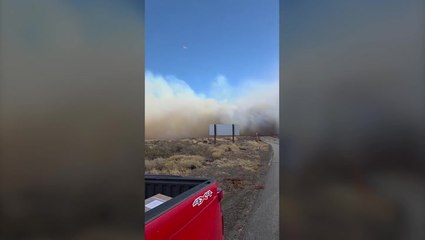 Smoke billows into sky from California's Pack Fire, scorching more than 3,000 acres