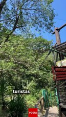 Cola de Caballo en diciembre: tirolesa, senderismo y miradores para disfrutar el invierno