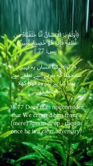 "We were created from a tiny drop—yet we argue as if we own the world." #Humility #QuranVerse #LifeReminder