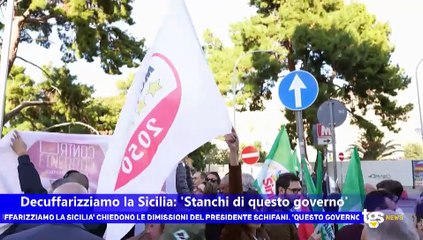 Il notiziario di Tgs, edizione dell'11 novembre – ore 19.50