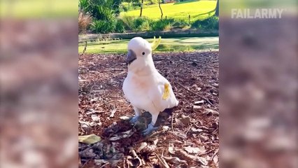 Cruel and Unusual Fails - Try Not To Laugh