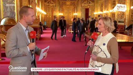 Réforme des retraites : "Le Sénat a voté cette réforme, je pense que nous la rétablirons"