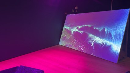 North East Artists Dive Deep into Ocean Ecologies at New Baltic Exhibition