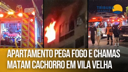 Apartamento pega fogo e chamas matam cachorro em Vila Velha