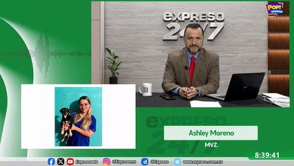 Pelo de perros y gatos: qué es normal y cuándo ir al veterinario