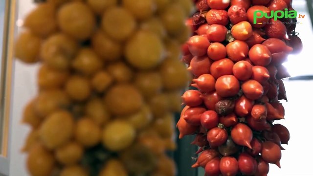 Napoli, la pizza fritta dedicata a Marisa Laurito finanzia la musica dei bambini (12.11.25)