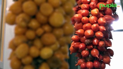 Napoli, la pizza fritta dedicata a Marisa Laurito finanzia la musica dei bambini (12.11.25)
