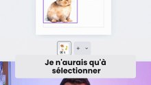 3 Nouveautés STYLÉES sur Canva