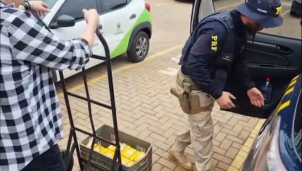 Caminhão com papelão escondia 80 kg de cocaína: PRF faz apreensão milionária