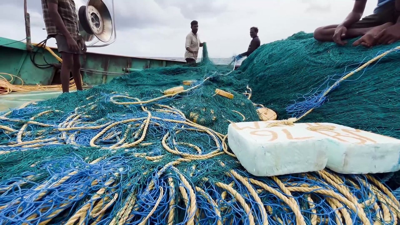 Unforgettable Gulf Fishing Adventure — Deep Waters, Big Catches & Pure Serenity